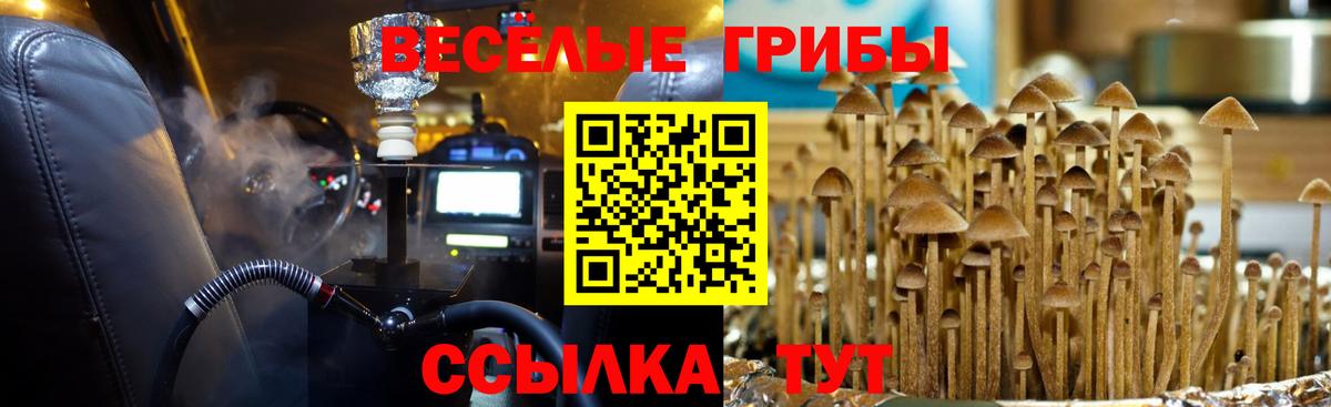 Казань  Псилоцибиновые грибы Magic Shrooms  как найти   Псилоцибиновые грибы Magic Shrooms  Вход с VPN 
